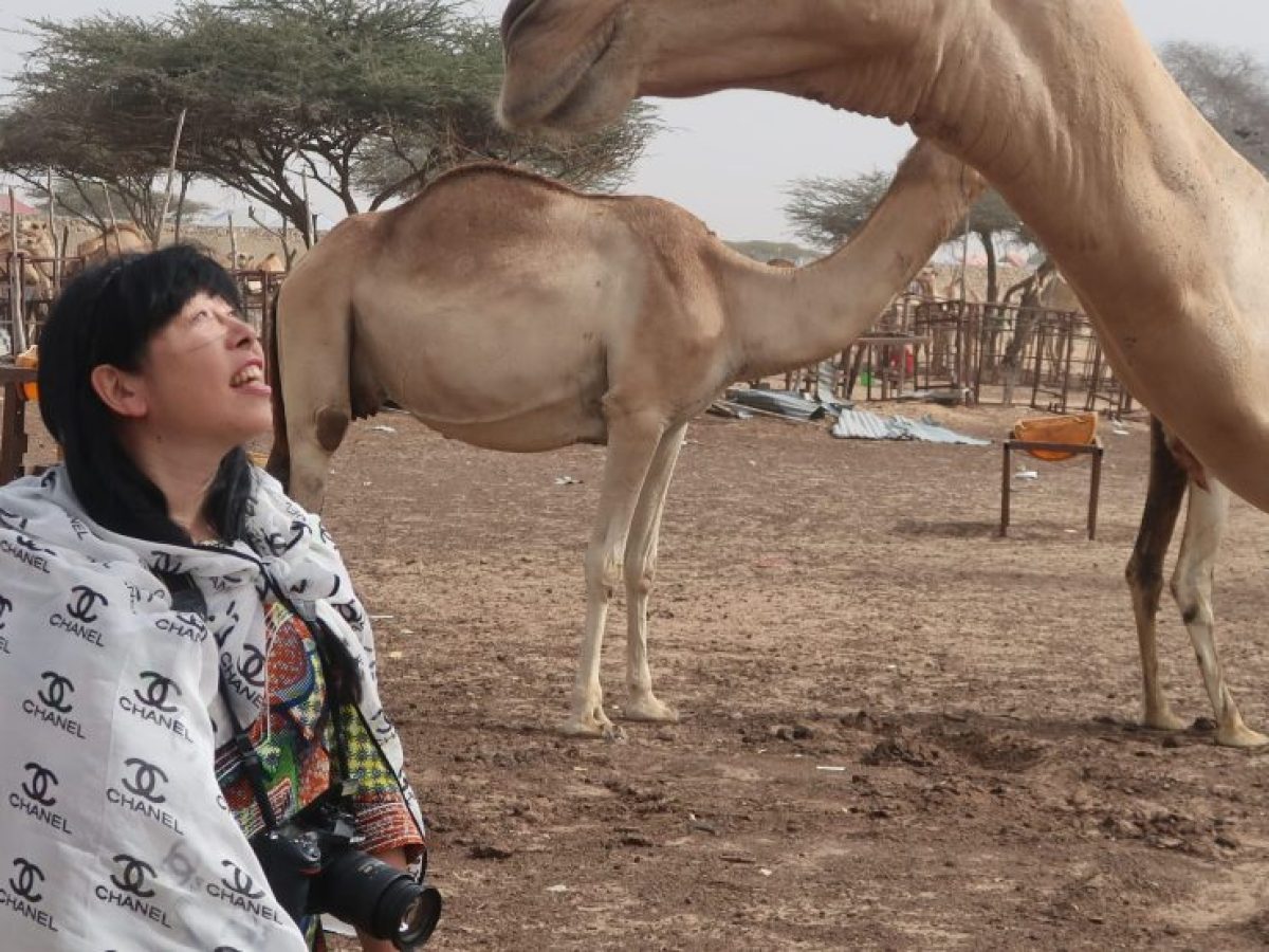 Japanese female travelers visiting a camel camp in Somalia