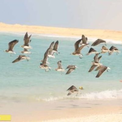 Galmudug