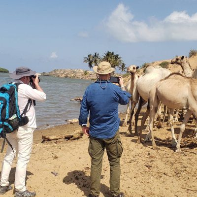 Jubbaland
