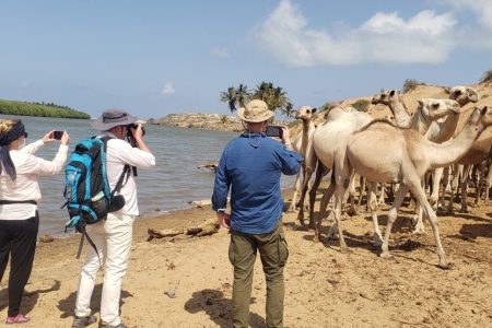 Mogadishu/ Kismayo & Garowe-EYL of Somalia