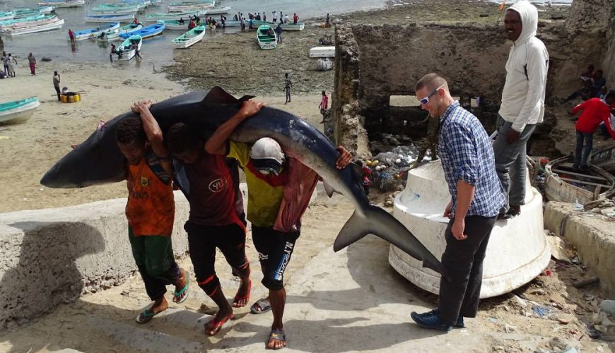 Mogadishu City Tour | 4 Days |4 Nights