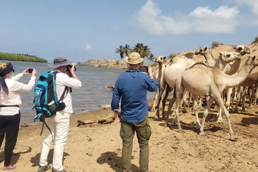 Travelers exploring Goobweyn near Kismayo, Somalia